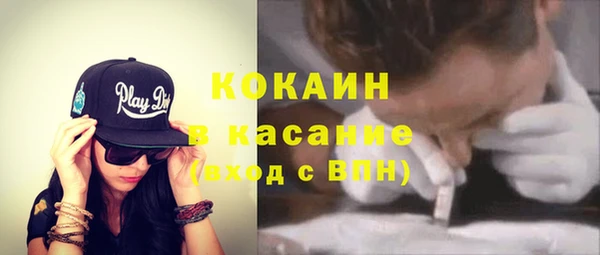 ешки Алексин
